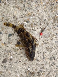 image-20120501094023.png